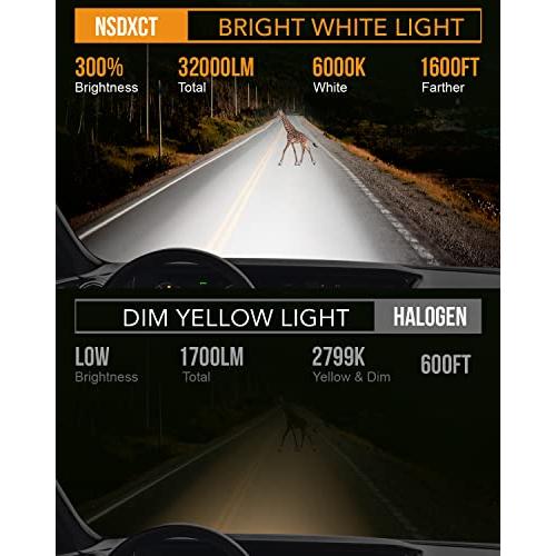 公式セールサイト NSDXCT Fit for Honda Odyssey (2011-2020) LEDヘッドライトバルブ、6000 KクールホワイトスーパーブライトLEDヘッドライト9005ハイビーム+H 11ロービームL