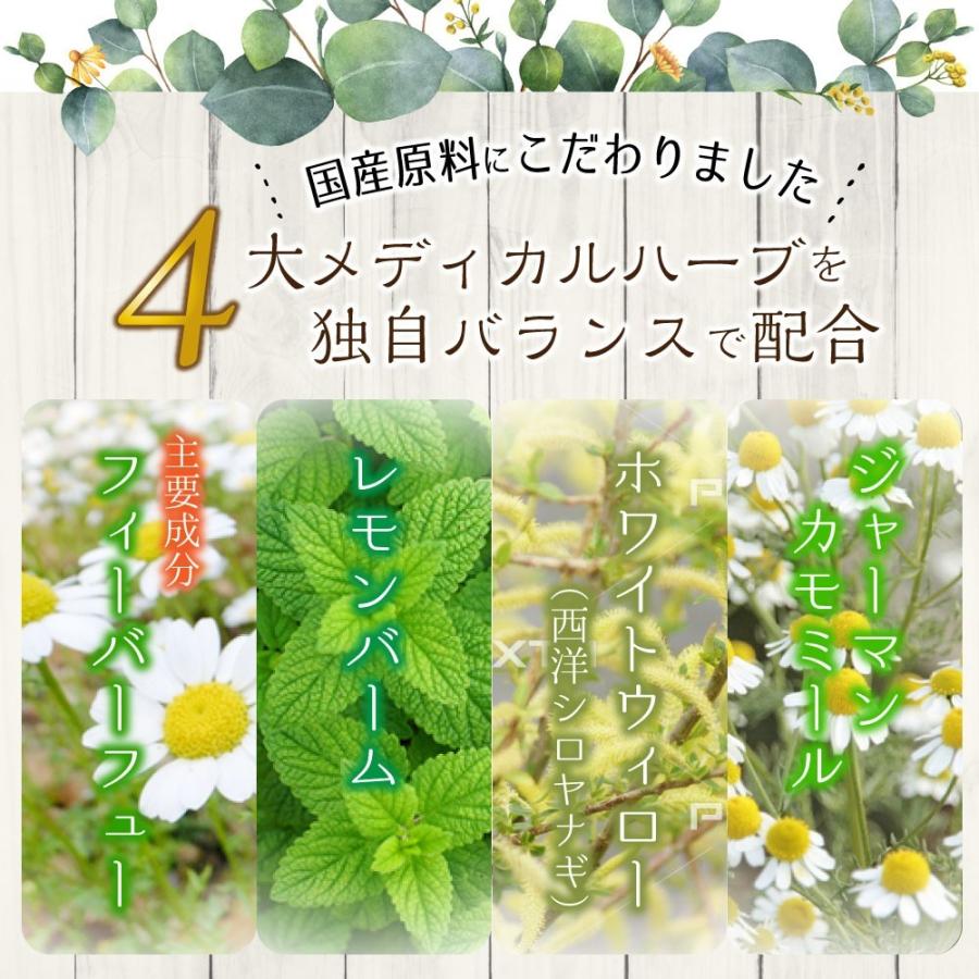 公式】ズキトール 2個 ハーブサプリメント フィーバーフュー