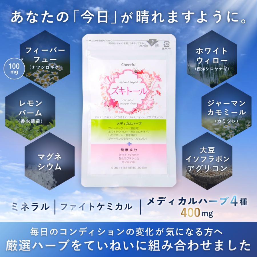 ズキトール 2個 ハーブ サプリメント フィーバーフュー ナツシロギク