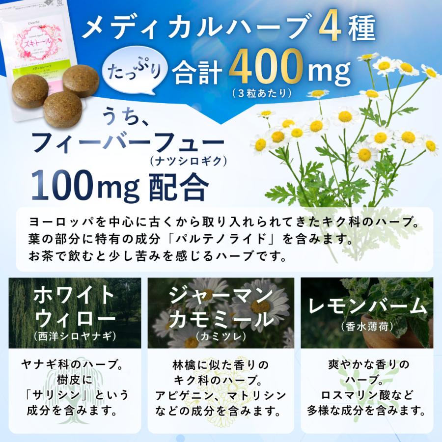 ズキトール 2個 ハーブ サプリメント フィーバーフュー ナツシロギク