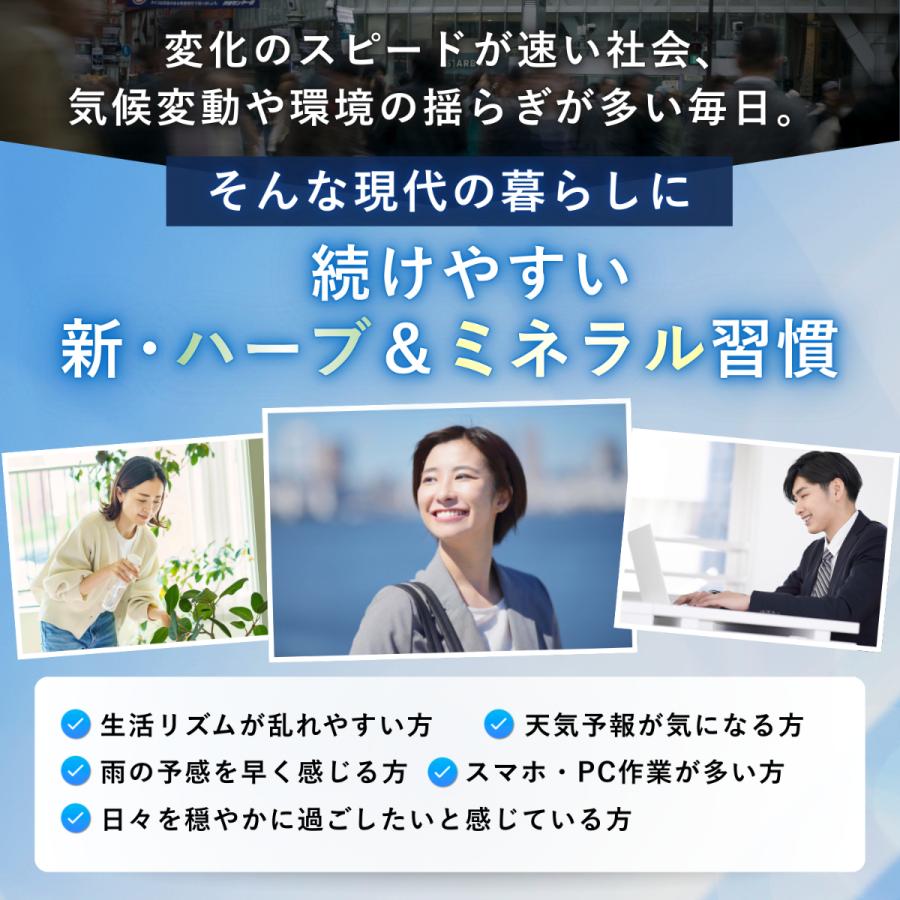 ズキトール 2個 ハーブ サプリメント フィーバーフュー ナツシロギク