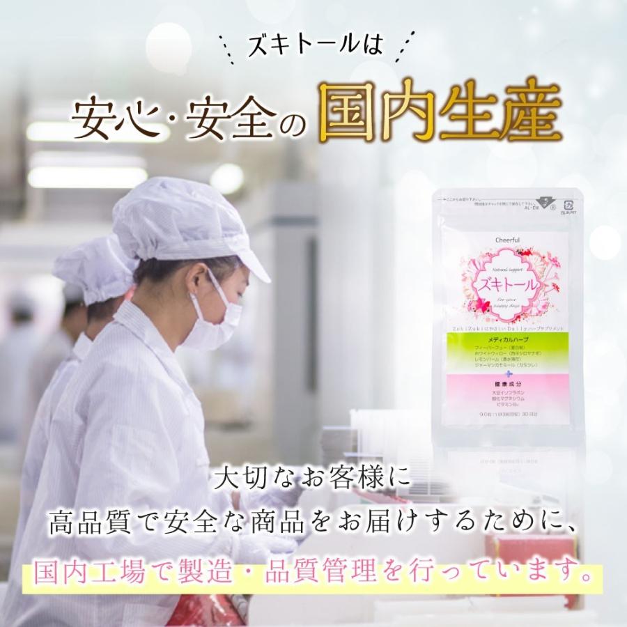 公式】ズキトール 2個 ハーブサプリメント フィーバーフュー