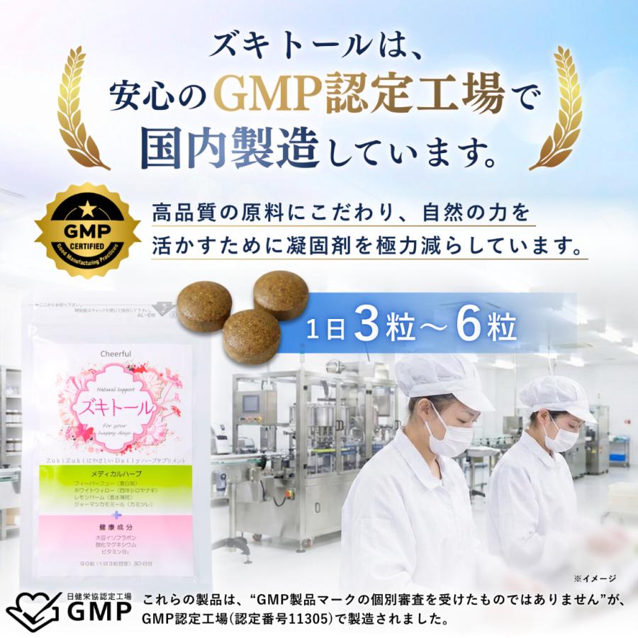 ズキトール 2個 ハーブ サプリメント フィーバーフュー ナツシロギク