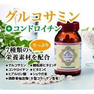 世田谷自然食品 グルコサミン コンドロイチン 300mg 240粒 3個 世田谷自然食品 グルコサミン コンドロイチン 300mg 240粒 3個
