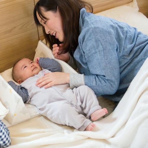 ベビーベッド 添い寝 |【公式販売店】farska ファルスカ ベッドインベッド エイド | 寝返り防止 シープ&ホルン/エレファント&バナナ グランドール | farska | 07