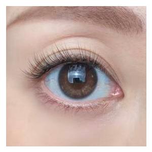 Selfray】クラシックラッシュ大容量 Dカール 太さ0.07mm 10本束