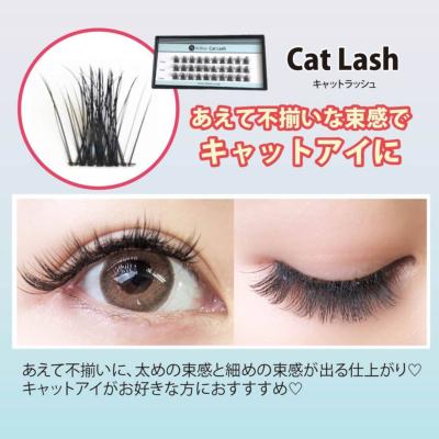 ゆかりん セルフつけまつげ Cカール５本束　10ミリ20箱 楽天市場】セルフ マツエク 初心者 キット まつエク セルフまつエク