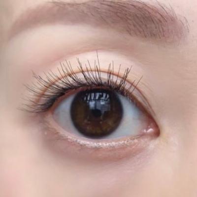 【Selfray】プチラッシュ Cカール 太さ0.10mm 8本束 10本束 14本束　20本束　マツエク　セルフ　フレア　 |  | 02