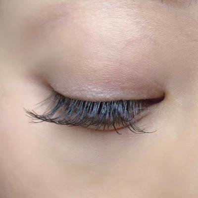 【Selfray】プチラッシュ Cカール 太さ0.10mm 8本束 10本束 14本束　20本束　マツエク　セルフ　フレア　 |  | 04