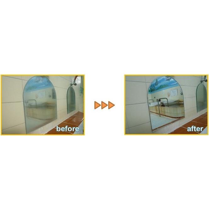 ミラーコート　100ml |  | 01