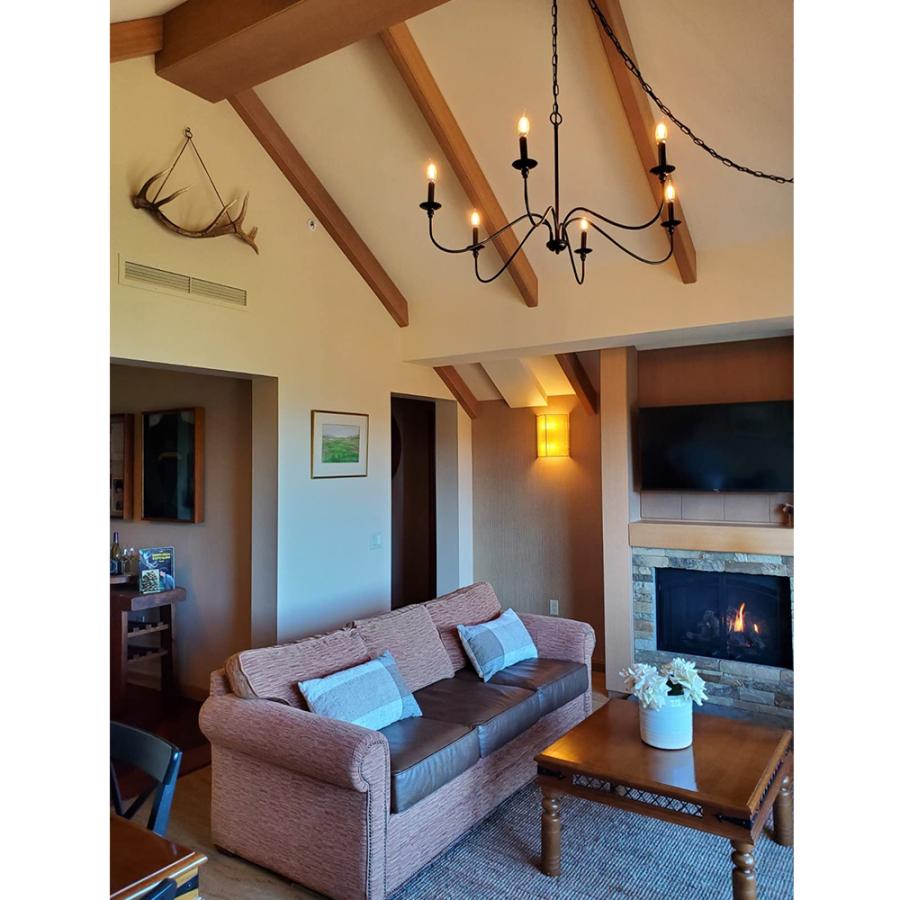 シャンデリア おしゃれ ブラック 6灯 LED対応 E12 ペンダントライト