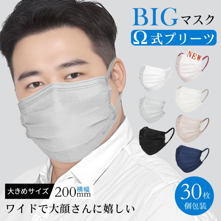 国内特大！マスク 大きめ 冷感追加 不織布 立体 プリーツマスク 大きいサイズ カラー メンズ 黒 使い捨て 男性 個包装 30枚 耳痛くない 肌荒れ防止 花粉対策（Yahoo!・誠心商事）