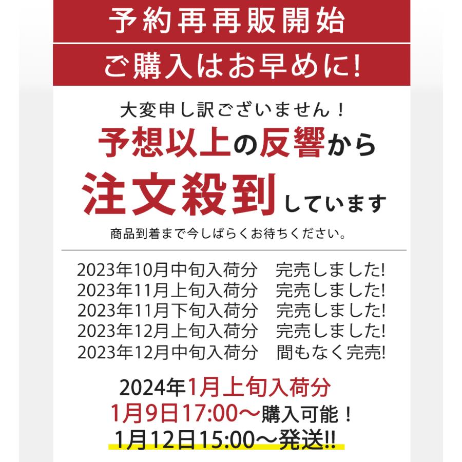 3サイズ＆6色 収納ケース 折りたたみ 収納ボックス コンテナ ボックス フタ付き 衣装ケース キャスター付き 押し入れ収納 クローゼット 大容量 おしゃれ｜chengxinshangshi｜25