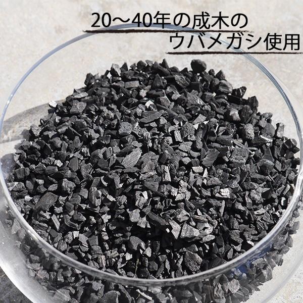 紀州備長炭 粒炭 100g 備長炭 インテリア 靴箱 玄関 消臭 浄水