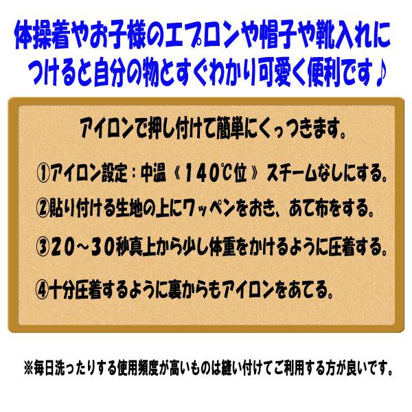 恐竜 イラスト ワッペン 大 アイロン接着 入学 入園 かわいい 入園 帽子 エプロン スモッグ お名前｜chericoshop｜05