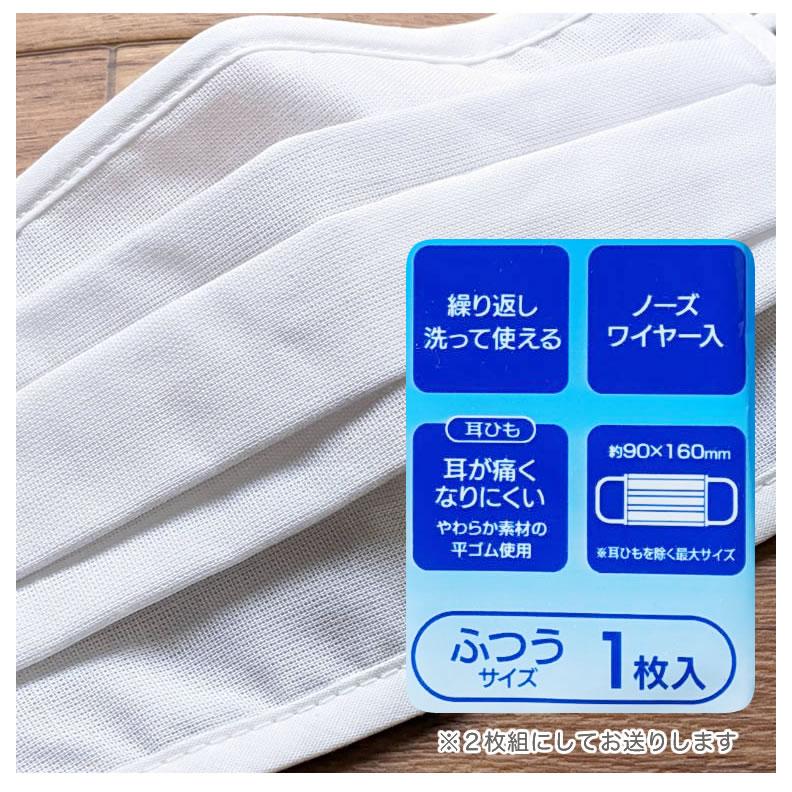 スケーター 全国マスク工業会 洗える マスク 2枚 BFE98%カット スケーター 全国マスク工業会 洗える マスク 2枚 BFE98%カット