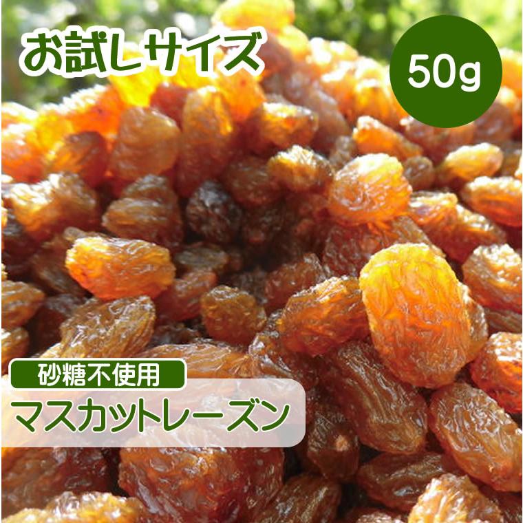 ドライフルーツ レーズン 50g ポイント消化 マスカットレーズン 砂糖不使用 無添加 ぶどう ブドウ 干しブドウ 無糖 小分け ギフト お試しサイズ Cfl A 50 輸入ベビー キッズ服 Cherie 通販 Yahoo ショッピング