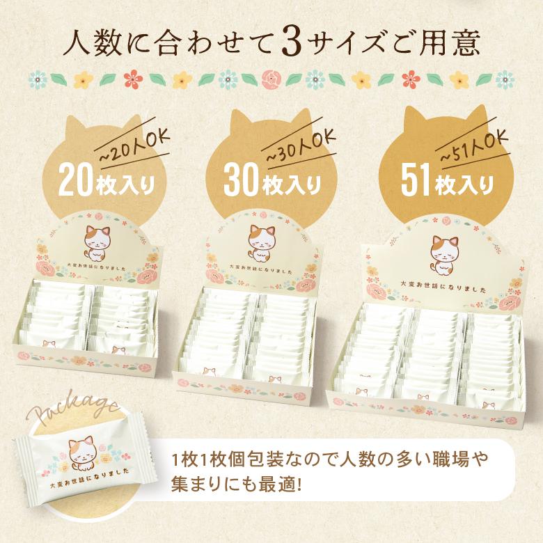 クッキー 退職 お菓子 ギフト 30枚 プチギフト お世話になりました