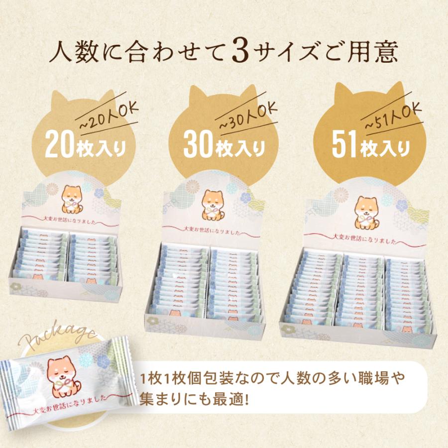 クッキー 退職 お菓子 ギフト 51枚 プチギフト お世話になりました