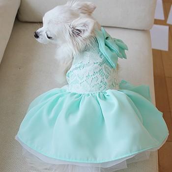 セレブなオーダーメイド犬服ミントブルードレス : オーダー
