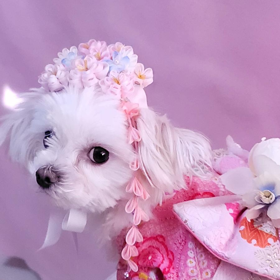 ペット用犬用つまみ細工髪飾りヘッドドレス花時はなどき