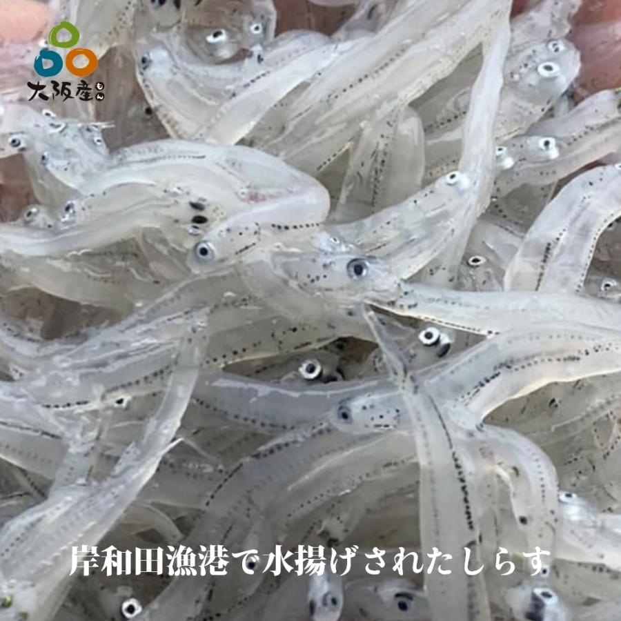 しらすチップス 30g 保存料無添加 しらす100% 大阪産しらす しらすチップス 30g 保存料無添加 しらす100% 大阪産しらす