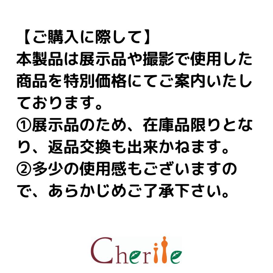 スワニー キャリーバッグ  D-294　エマイロIII　 サイズ：M18 カラー：グレー ４輪　60mmキャスター |  | 02