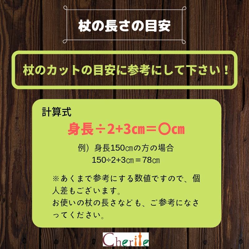 杖傘 晴雨兼用 アスター洋傘（891）婦人 オーガンジー ロング AS1002 バラ柄 全長約85cm UVカット 先替えゴム付 敬老の日 70代 80代 90代 祖母 孫 誕生日 |  | 06