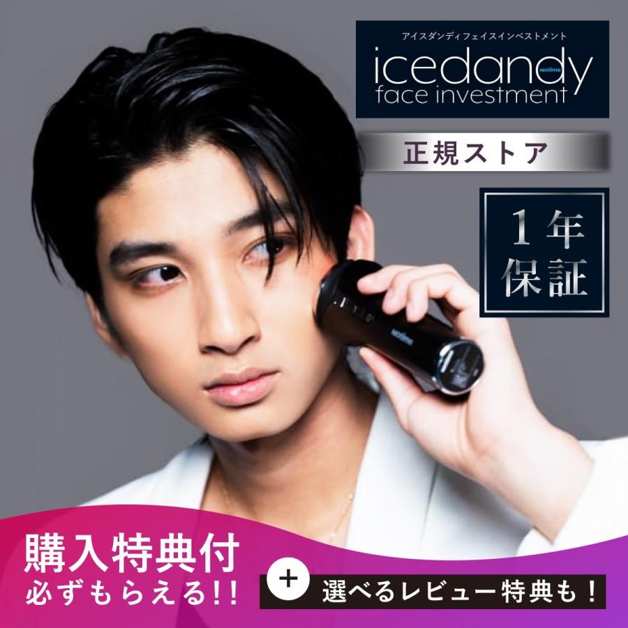 84%OFF!】 アイスダンディ フェイスインベストメント 男性 美顔器