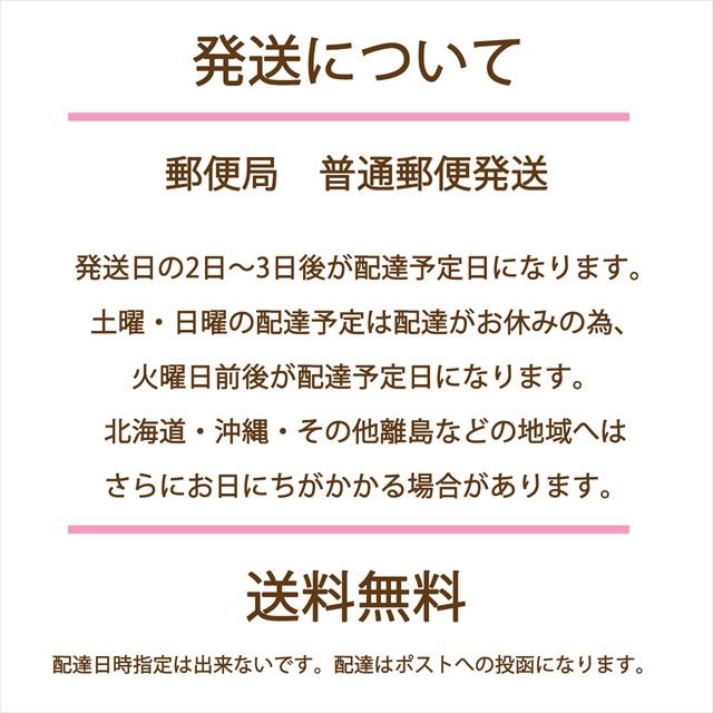 ロンデル 平型 シルバー 6mm 12個 A級 送料無料 ラインストーン メタルパーツ デコパーツ スペーサー ビーズ アクセサリーパーツ ブレス 修理 補修｜cherry-jewel｜08