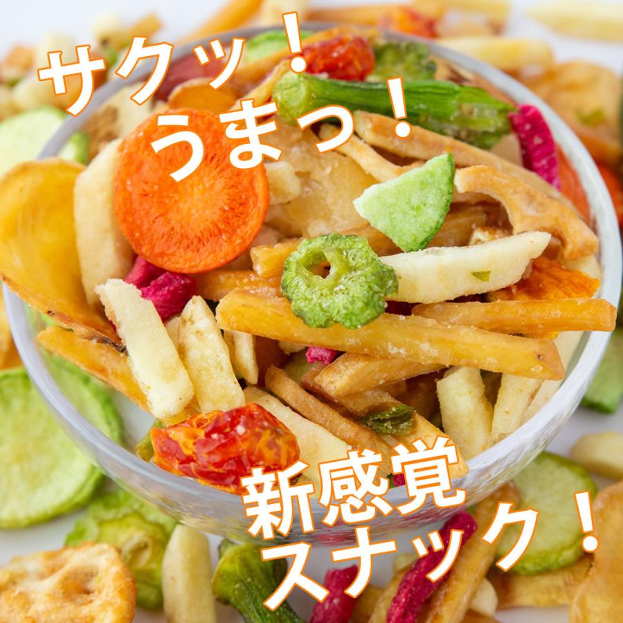 大地の生菓 野菜チップス 15種類の野菜チップス 1380g 230g×6セット 大