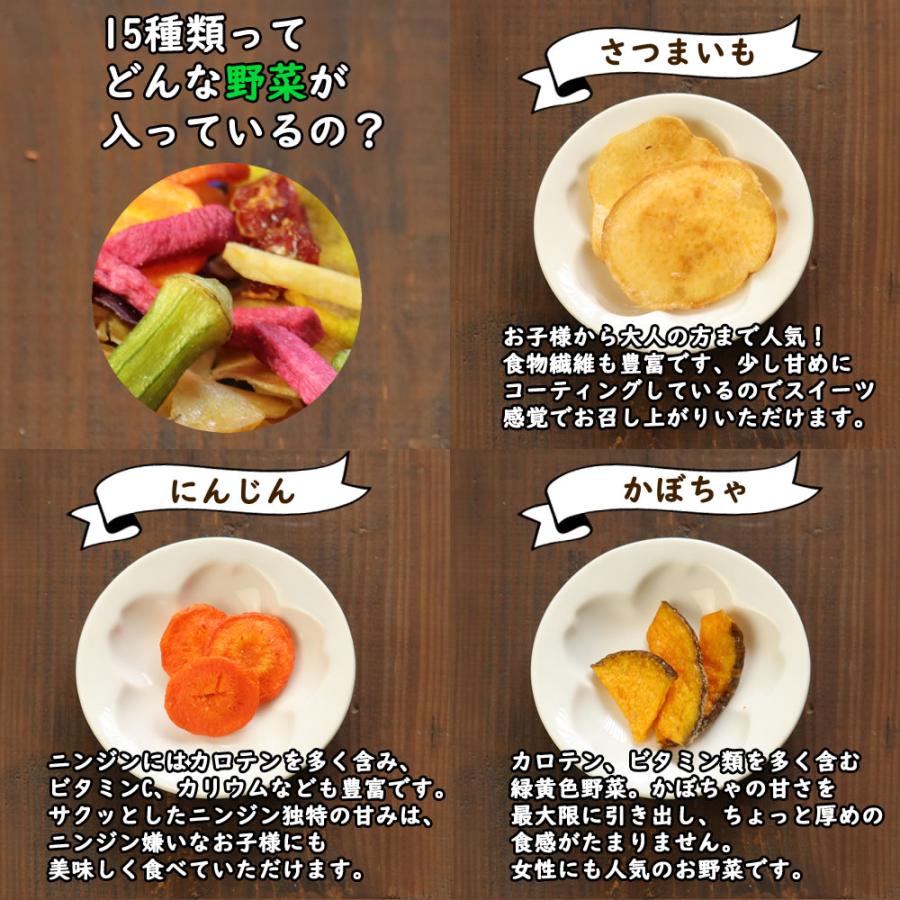 大地の生菓 野菜チップス 15種類の野菜チップス 1380g 230g×6セット 大