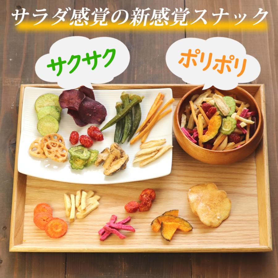 大地の生菓 野菜チップス 15種類の野菜チップス 1380g 230g×6セット 大