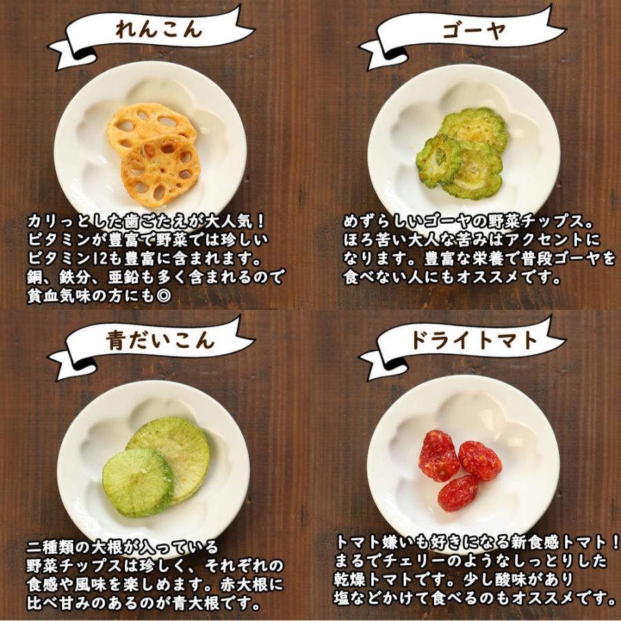 大地の生菓 20%OFFクーポンあり 野菜チップス 15種類の野菜チップス