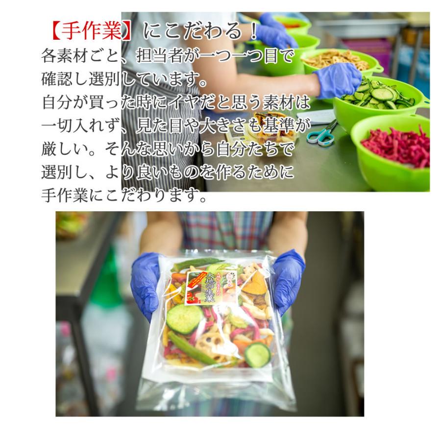 母の日 2024 お菓子 ギフト プレゼント 大地の生菓  野菜チップス 15種類の野菜チップス 75g 送料無料 野菜スナック お菓子 人気 おやつ おつまみ｜cherry-nail｜19