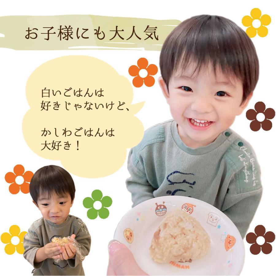 大地の生菓 かしわ飯の素 2合用x2袋セット 炊き立てご飯に混ぜるだけ