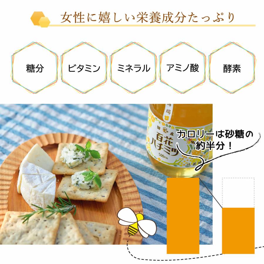 大地の生菓 花の香りがするやさしいはちみつ 500g 無添加 国産純粋