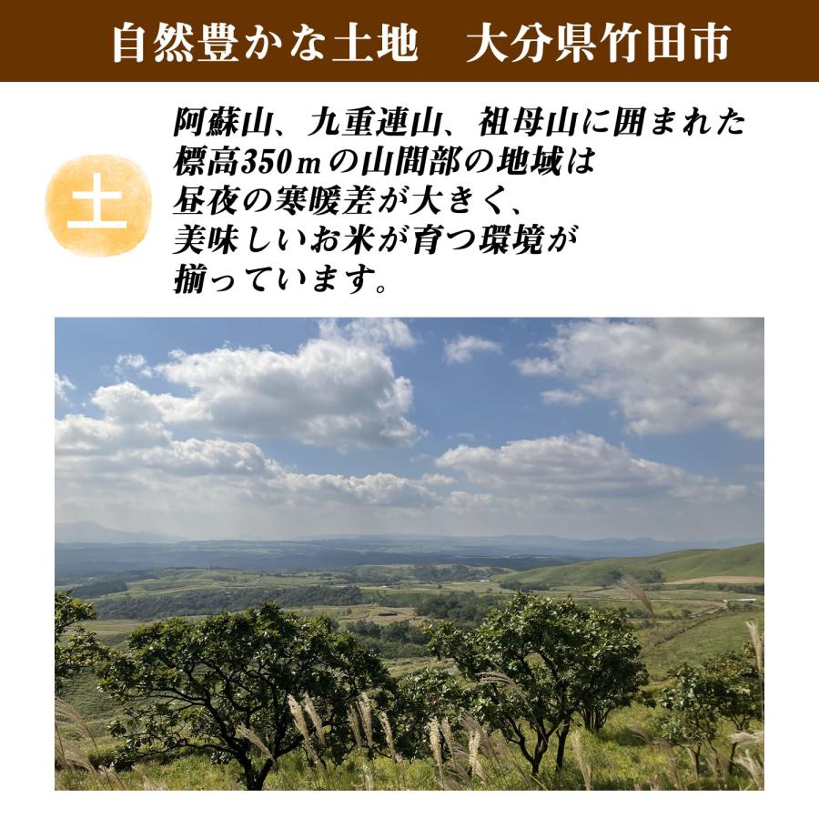 大地の生菓 古代米ブレンド 36種類 ミックス いろいろ米 300g 国産