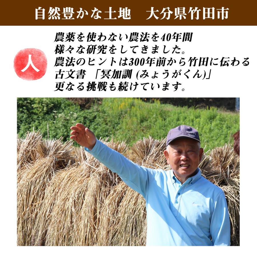 大地の生菓 古代米ブレンド 36種類 ミックス いろいろ米 300g 国産