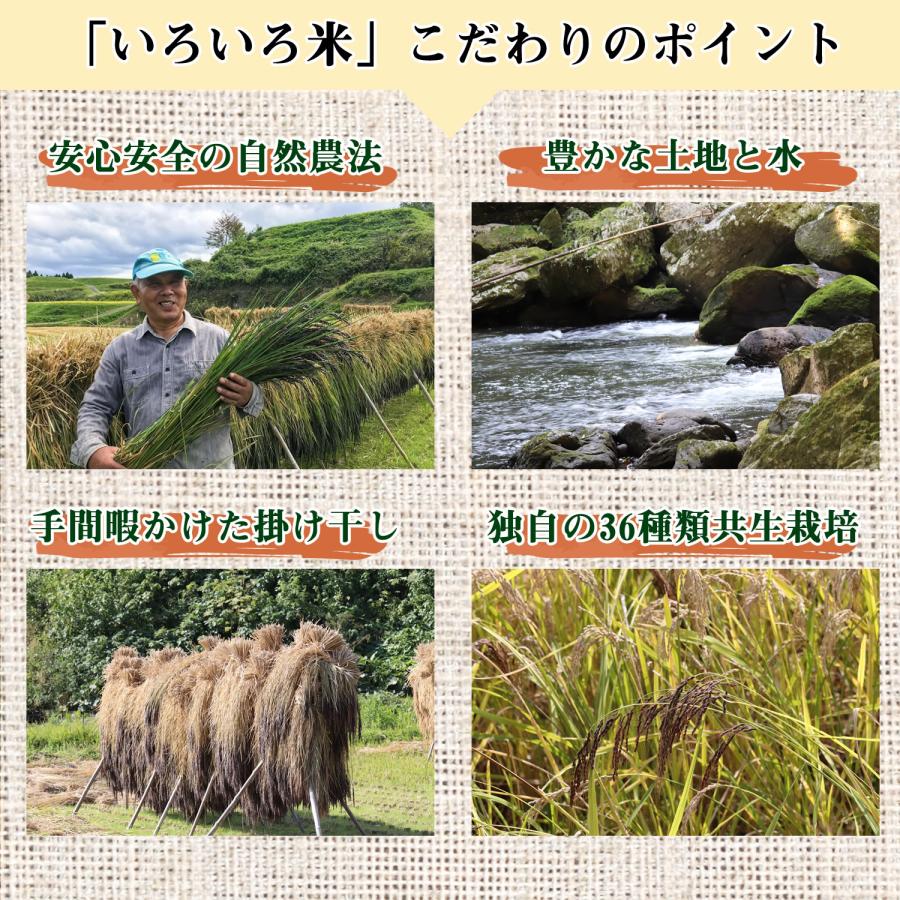 大地の生菓 古代米ブレンド 36種類 ミックス いろいろ米 300g 国産