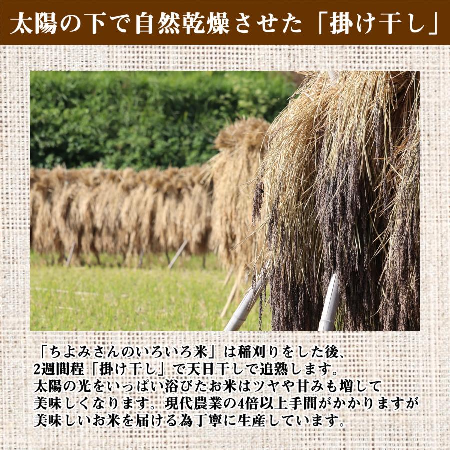 大地の生菓 古代米ブレンド 36種類 ミックス いろいろ米 300g 国産