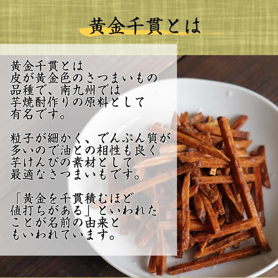 大地の生菓 黒糖 芋けんぴ 500g 芋けんぴ 大容量サイズ 南九州産 黄金