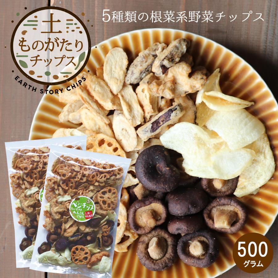 大地の生菓 3種類の野菜チップべジチップス 500g 野菜チップス ゴボウ レンコン しいたけ ギフト お菓子 おやつ こども 送料無料 Vegechips 500 大地の生菓 通販 Yahoo ショッピング