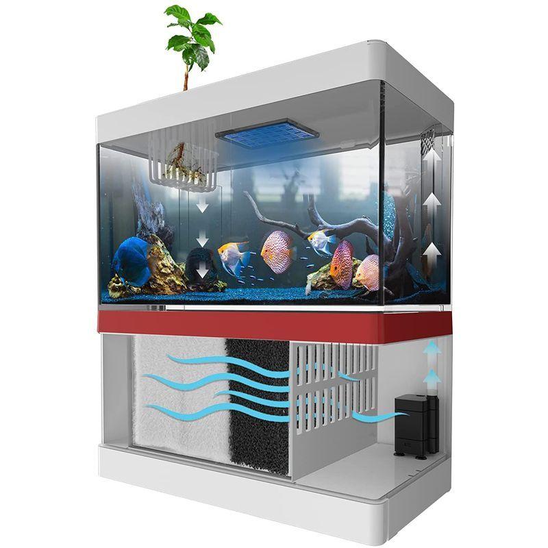 Yjhyuxi ミニ金魚鉢 卓上ミニ水族館 水槽セット 熱帯魚 魚飼育 卓上飾リ 魚飼育セット 省エネ 静音 充電可能 長寿命 プラスチック チェリー21 通販 Yahoo ショッピング