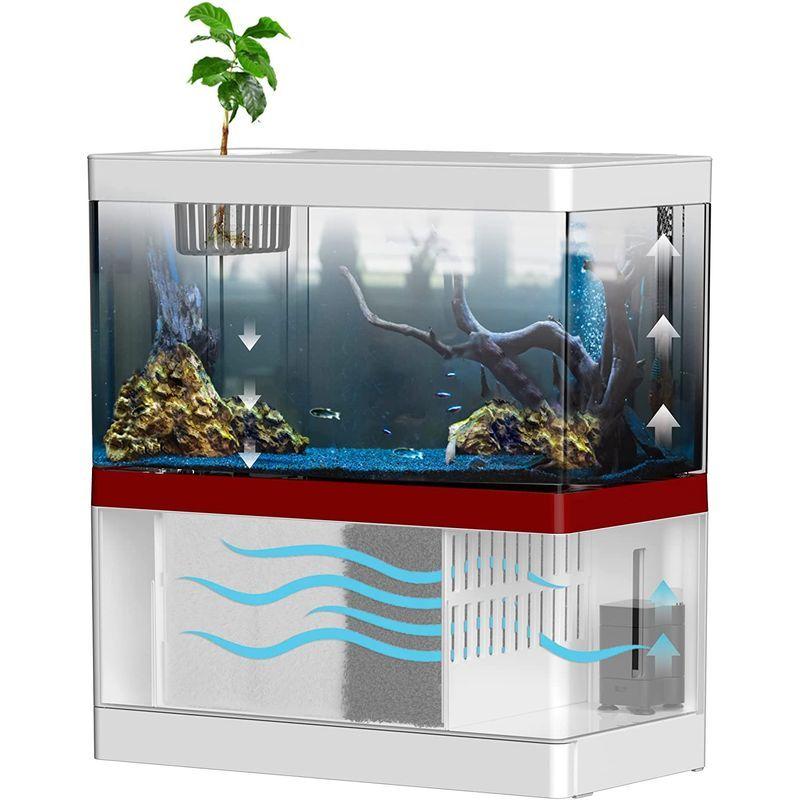 Yjhyuxi ミニ金魚鉢 卓上ミニ水族館 水槽セット 熱帯魚 魚飼育 卓上飾リ 魚飼育セット 省エネ 静音 充電可能 長寿命 プラスチック チェリー21 通販 Yahoo ショッピング
