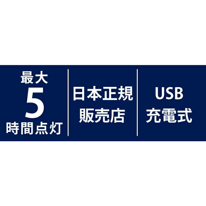 ナイトプール グッズ 光る プール イルミネーション ライト 照明 デコレーション 飾り 装飾 浮かべられる　プールやキャンプに　インテリア ライト キャンプ … |  | 08