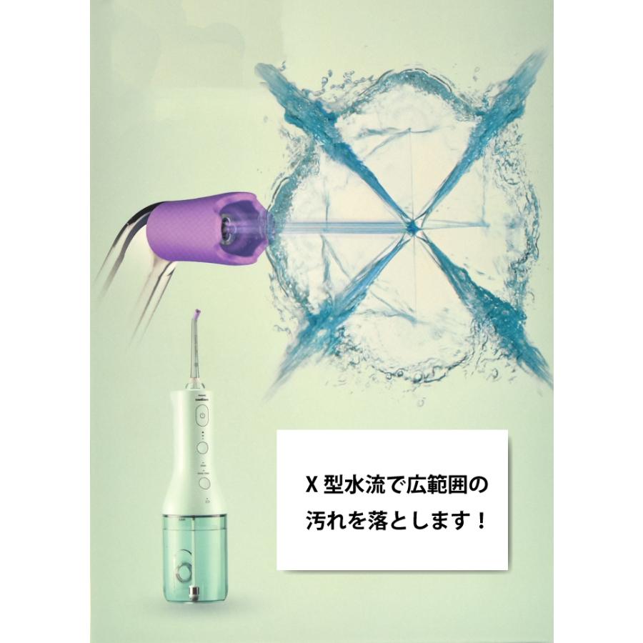Philips（フィリップス） ウォーターフロス 口腔清浄機 コードレス