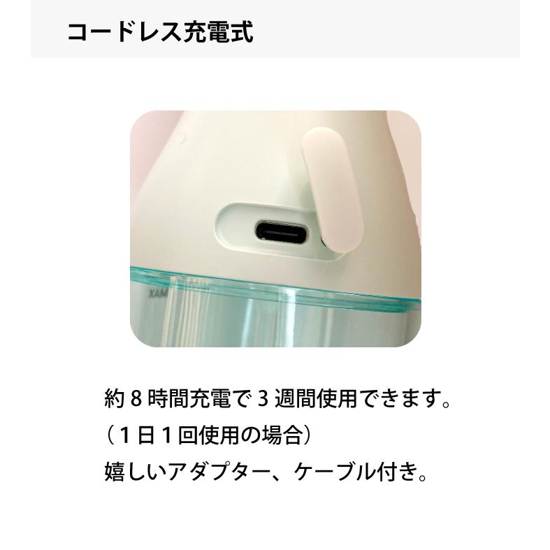 Philips（フィリップス） ウォーターフロス 口腔清浄機 コードレス