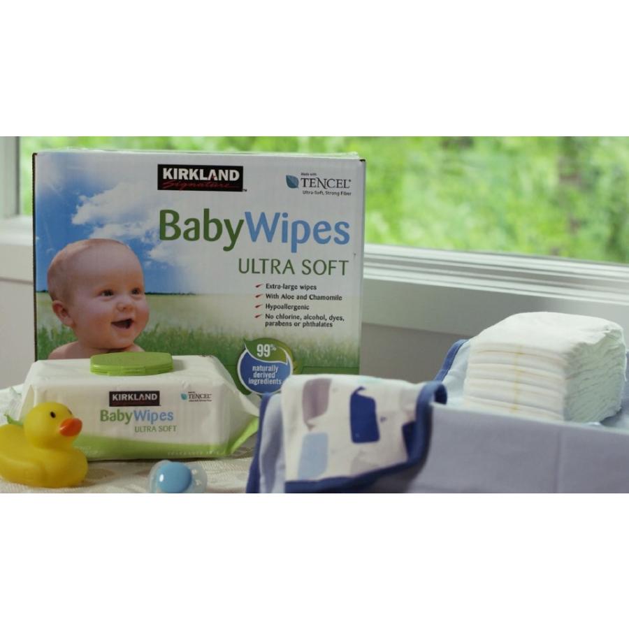 おしりふき プラスチックフタ拭きに密閉力抜群 天然成分シート 赤ちゃんお尻ふき Kirkland ベビーワイプ ９パック 100シート 9個 チェリーベル Yahoo 店 通販 Yahoo ショッピング