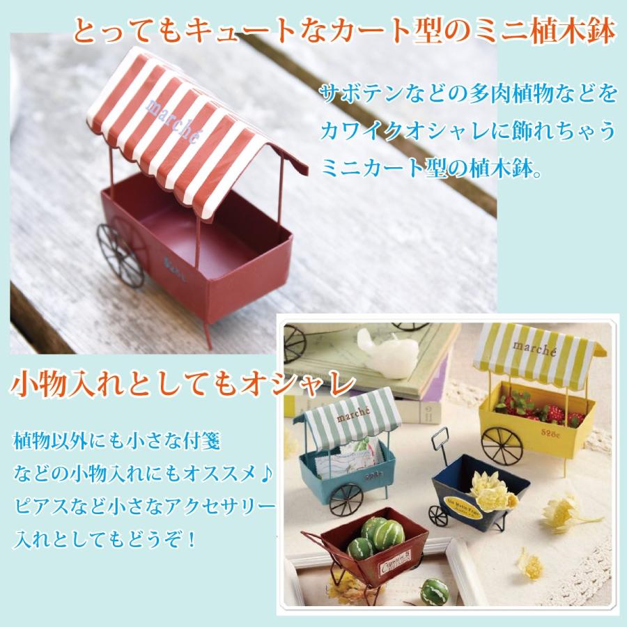 プラントボーダーカートS 小物入れ 切手 アクセサリー入れ 植物 サボテン アンティーク調の小物入れタイプ |  | 01
